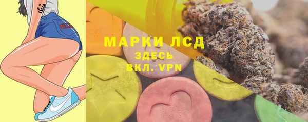 гидра Богородицк