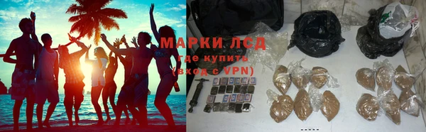 гидра Богородицк
