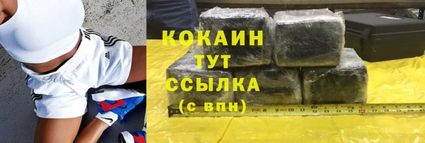 гашик Богданович