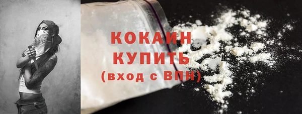 гидра Богородицк