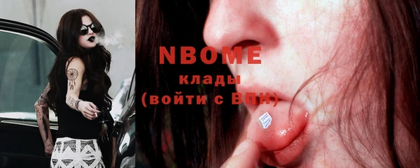 гашик Богданович