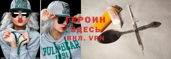 гидра Богородицк