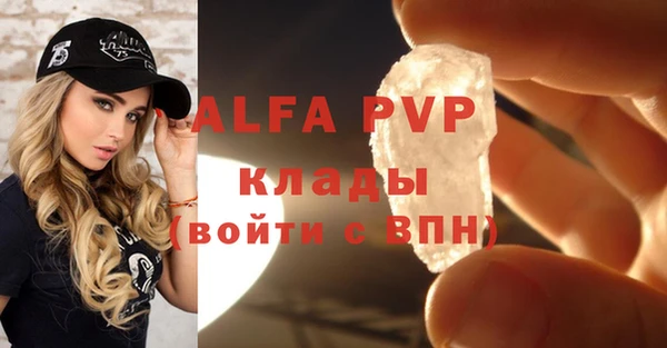 гидра Богородицк
