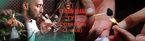 гидра Богородицк