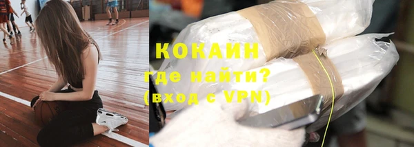 гашик Богданович