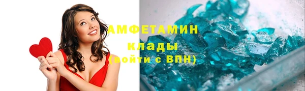 гидра Богородицк