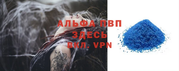 гашик Богданович