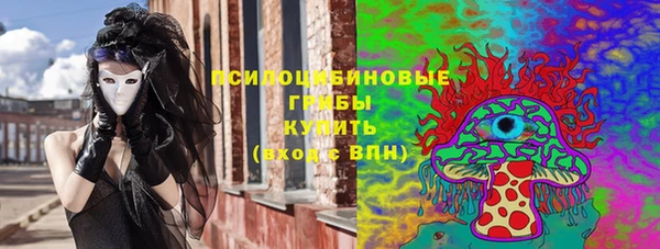 гидра Богородицк