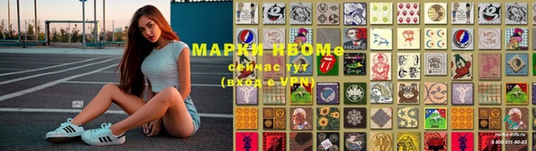 гашик Богданович