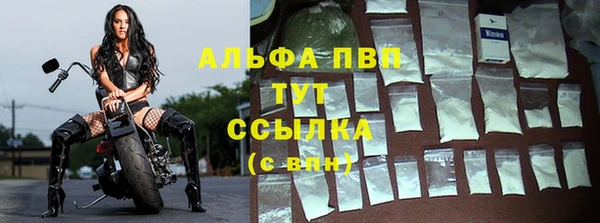 гидра Богородицк