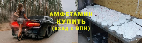 гашик Богданович