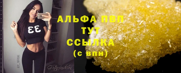 гидра Богородицк