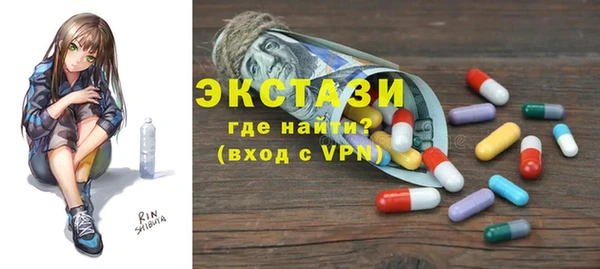 гидра Богородицк