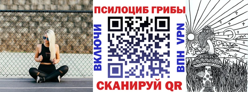 Псилоцибиновые грибы GOLDEN TEACHER  Буйнакск 