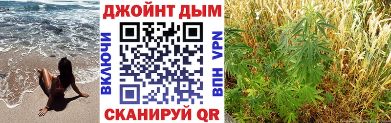 Конопля OG Kush  как найти закладки  Буйнакск 